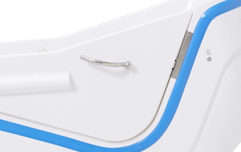 TR Swing Türverriegelung mit Sicherheitsverschlusshebel